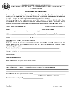 Discipline Questionnaire PDF  Form