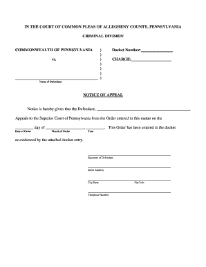 Sample Notice of Appeal Pennsylvania  Form
