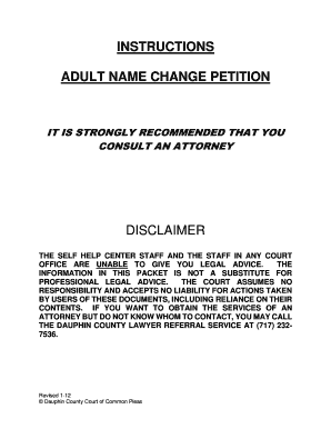 Adult Name Change Petition Dauphin County Dauphincounty  Form