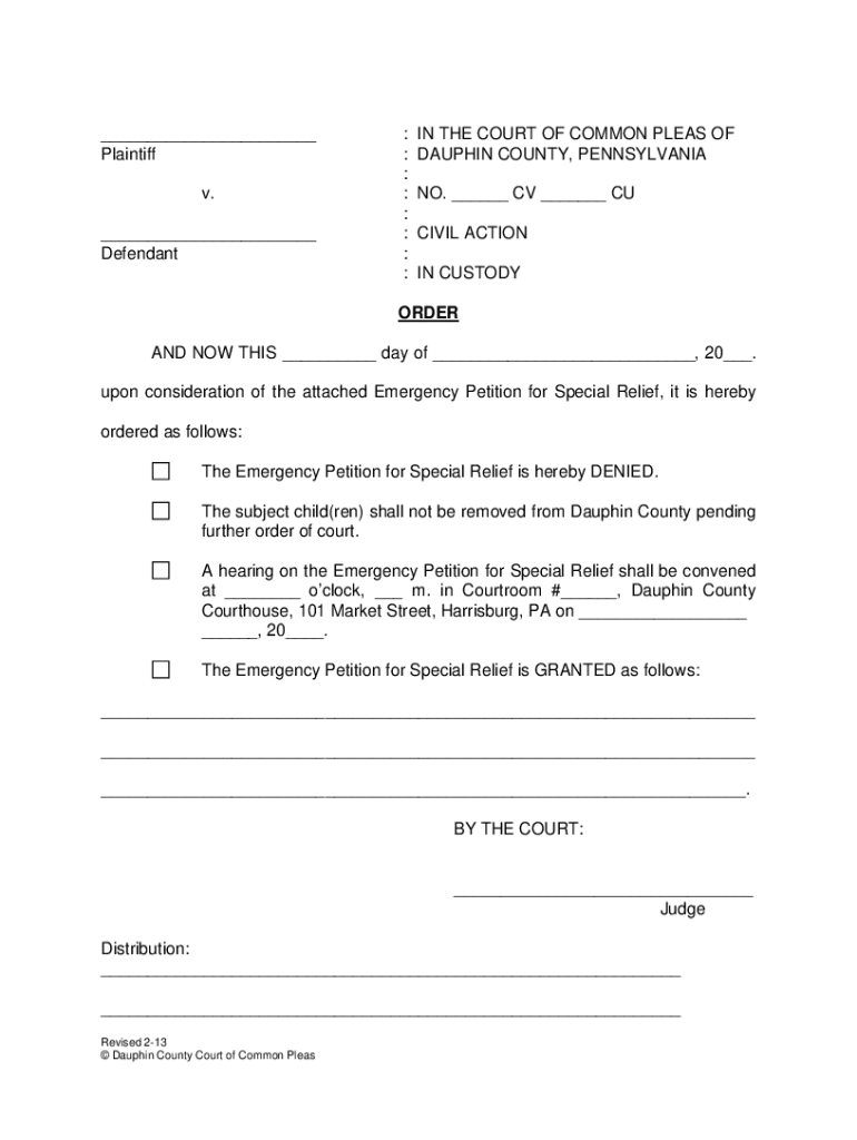 Emergency Custody  Form