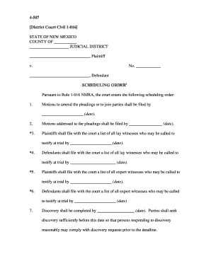 Nmcourts  Form