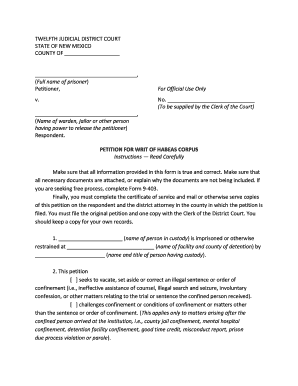 Ex Parte Emergency Custody Petition and Order  Form