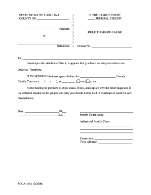 SCCA Form 223B 2 DOC Judicial State Sc