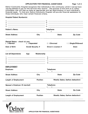 Delnor Hospital Financial Assistance Form