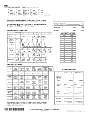 Newborn Maturity Rating and Classification  Form