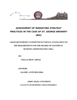 Assessment of Marketing Strategy Practice PDF  Form