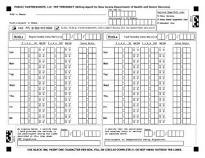 Public Partnership Timesheet  Form