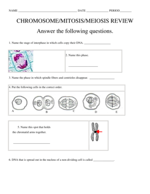 Chromosome Mitosis Meiosis Review  Form