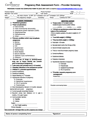 Pregnancy Risk Assessment Template Word  Form