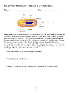 Prokaryotes Bacteria Worksheet Answers  Form
