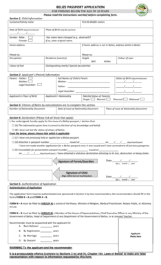 Belize Passport Application  Form