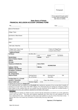 Sbi Kiosk Financial Inclusion  Form