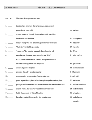 Cell Organelles Review Worksheet Answer Key  Form