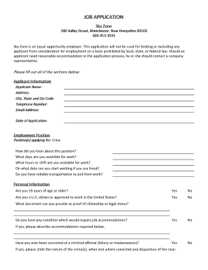 Sky Zone Application PDF  Form