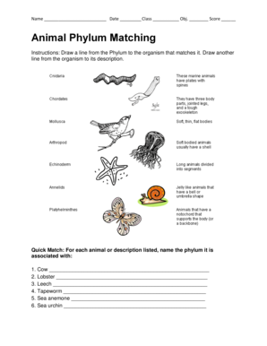 Animal Phylum Matching  Form