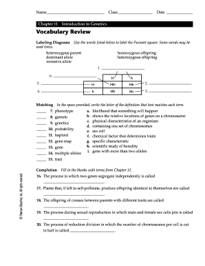 Chapter 11 Introduction to Genetics Vocabulary Review Answer Key PDF  Form