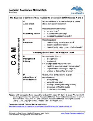 Cam Assessment Worksheet  Form