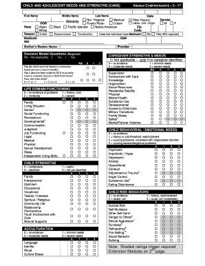 Cans Assessment PDF  Form