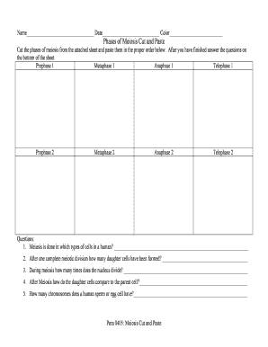 Phases of Meiosis Cut and Paste Answer Key  Form