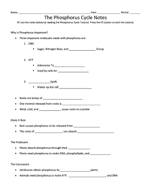 Phosphorus Cycle Notes  Form