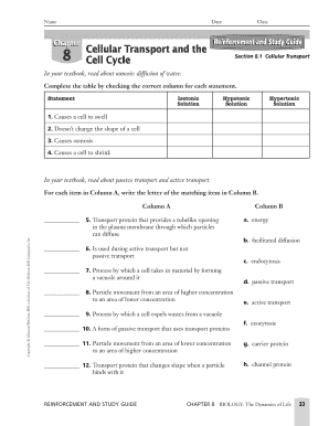 Chapter 8 Cellular Transport and the Cell Cycle  Form