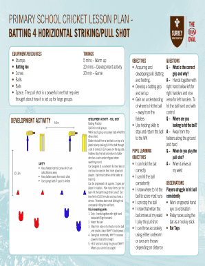 Cricket Lesson Plans PDF in Hindi  Form