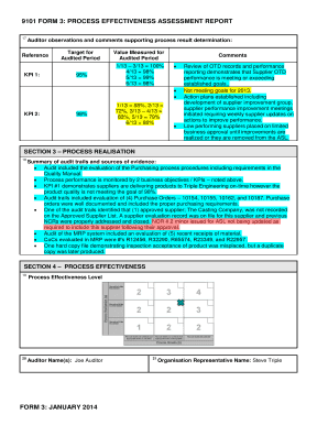 Process Effectiveness Assessment Report Example  Form