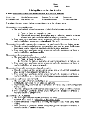 Building Macromolecules Activity Answer Key PDF  Form