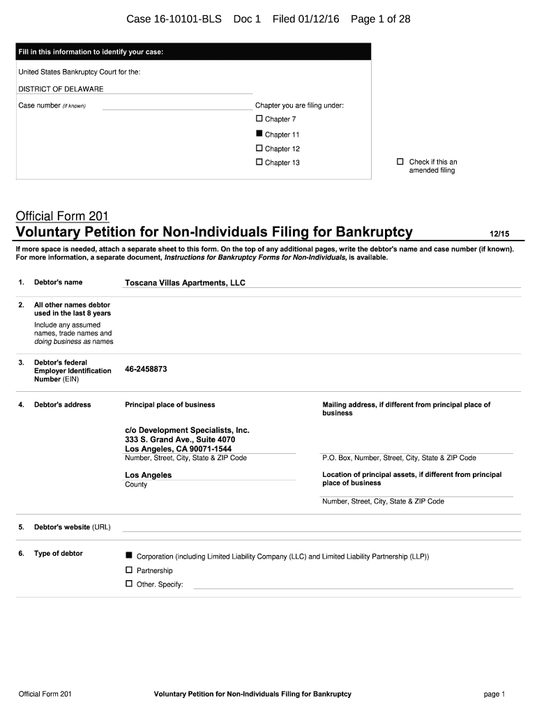 Official Form 201 Voluntary Petition for