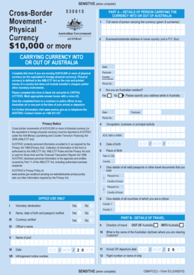 Cross Border Movement Physical Cash Form