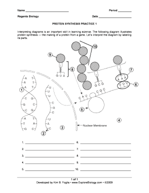 Protein Synthesis Worksheet Answers PDF  Form