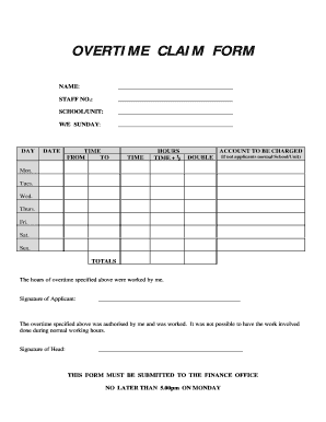 Cleaning Invoice Template Word  Form