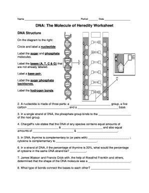 The Molecule of Heredity  Form