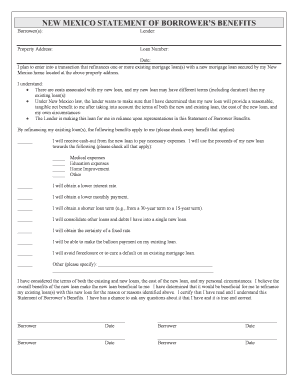 Nm Statement of Borrowers Benefits HomeBridge Wholesale  Form