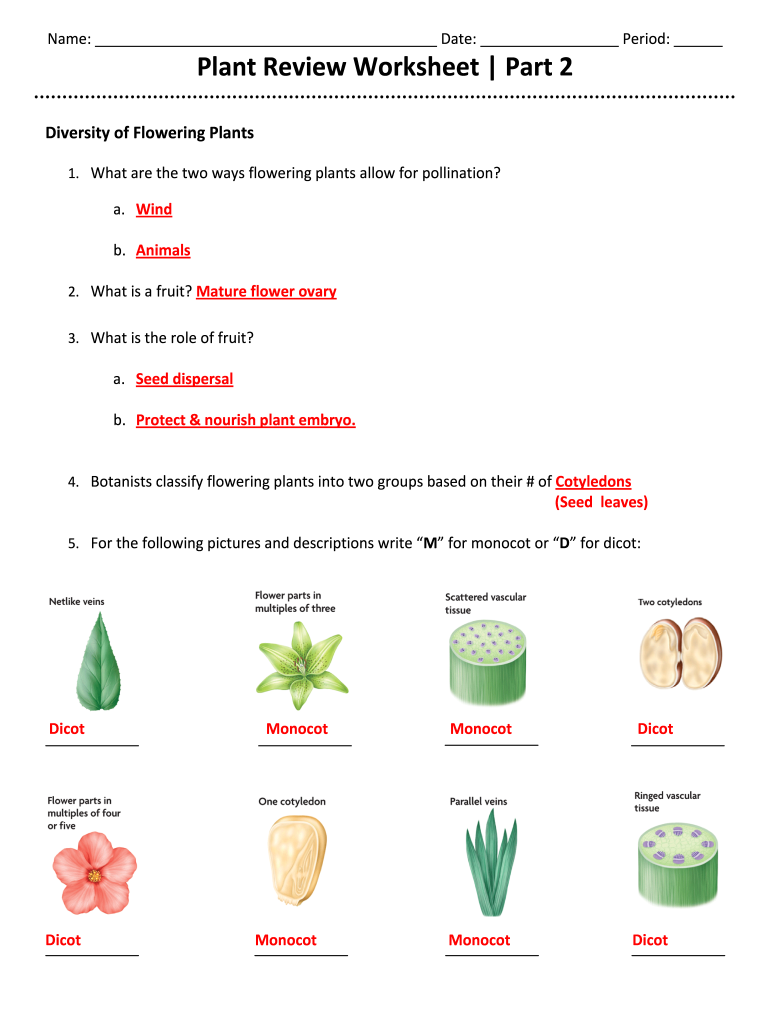 Worksheets on Parts of a Plant 3rd Grade  Form