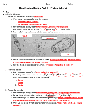 Protist and Fungi Worksheet Answer Key  Form