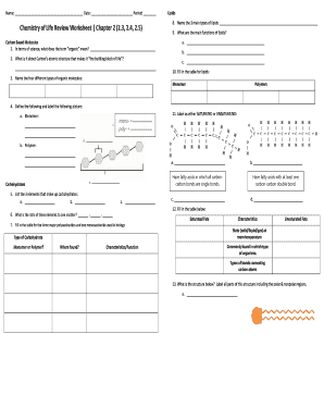 Chemistry of Life Review Worksheet Answer Key  Form