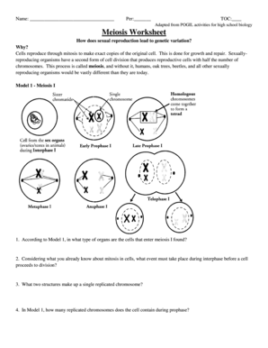 Meiosis Pogil Activities for High School Biology  Form