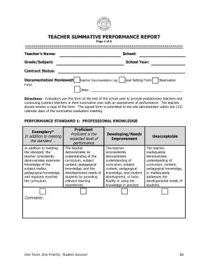 TEACHER SUMMATIVE PERFORMANCE REPORT