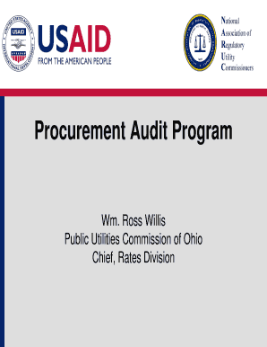 Procurement Audit Program  Form