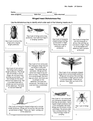 Dichotomous Key Practice a Key to Insects Answer Key PDF  Form