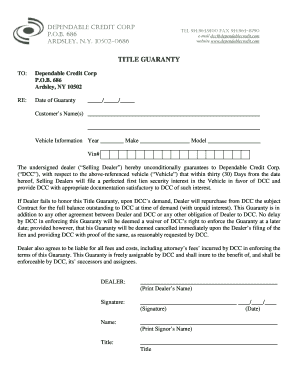 Dependable Credit Corp  Form