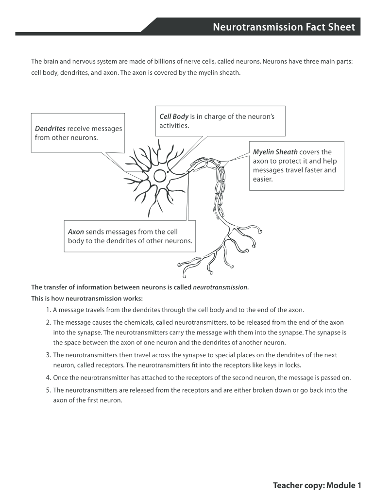 Neurotransmission Fact Sheet  Form: get and sign the form in seconds