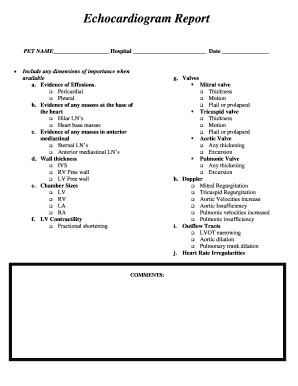 Echocardiogram Report PDF Sound  Form