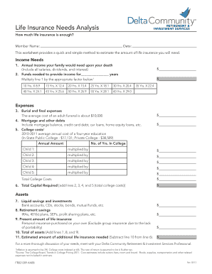 Insurance Needs Analysis Form