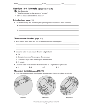 11 4 Meiosis Pages Answer Key  Form