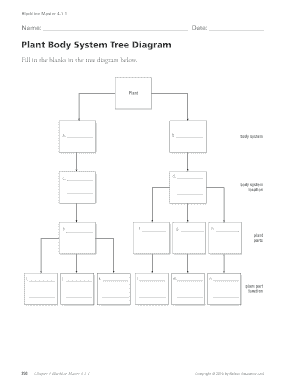 Plant Body System Tree Diagram  Form