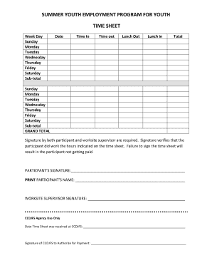 Syep Timesheet  Form