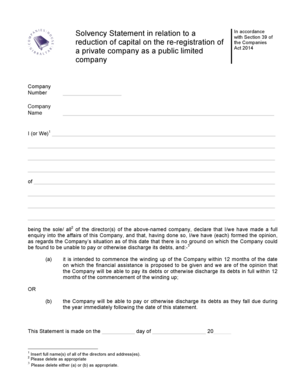 Solvency Statement Example  Form