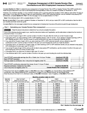 Cpp Overpayment  Form